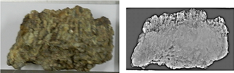 Computed radiograph of a typical geological rock sample
