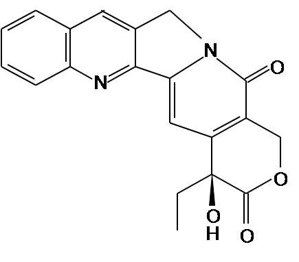 Anticancer drug Camptothecin