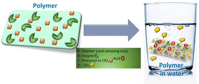 Chlorine Dioxide releasing polymer for water disinfection (CLEAN)