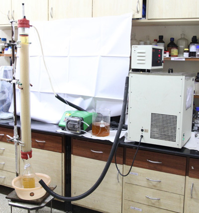 An Enzymatic Process for Debittering of Protein Hydrolysates using immobilized peptidases