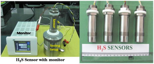 Hydrogen Sulphide Sensor with Monitor (Model: TPD-BARC 1050)