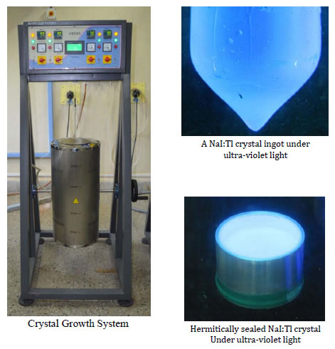 Technology to grow single crystals of NaI:Tl and fabrication of radiation detectors