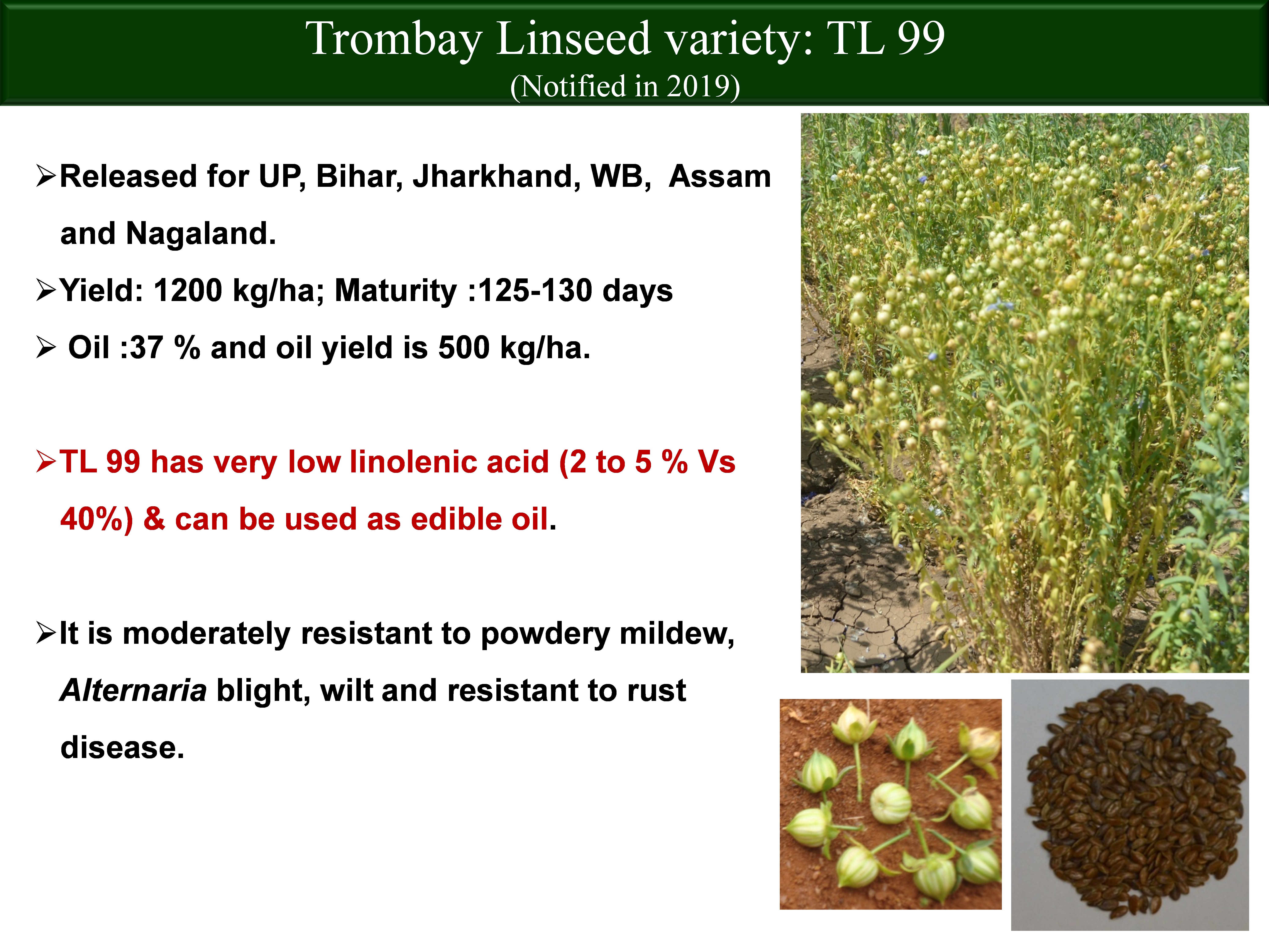 Trombay Linseed variety