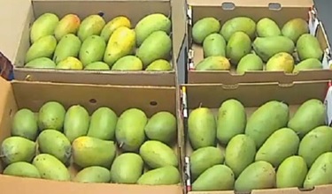 NA – Bhabha Atomic Research Centre ( BARC )